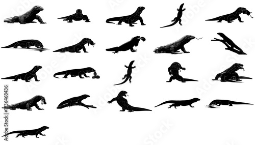 the dragons shadow a visual chronicle of prehistoric might and predatory grace set, isolated on transparent background