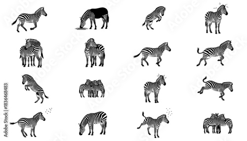 the savannahs barcode a graphic lexicon of zebra life and social dynamics set, isolated on transparent background