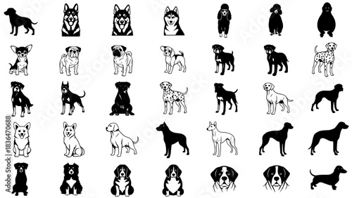 Collection of various dog breeds in black and white vector illustrations silhouette