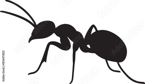 Ant silhouette vector