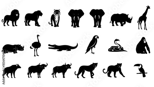 wild animals silhouettes