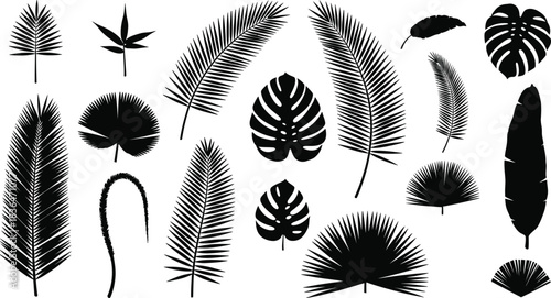 Tropical leaves silhouettes collection for creative design and decoration projects