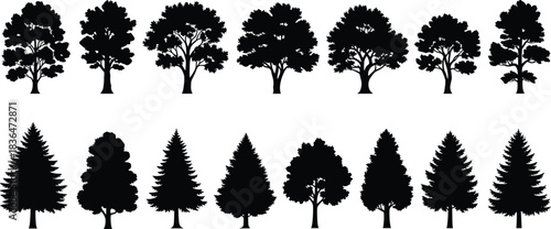 Black silhouette trees set, deciduous and evergreen shapes, vector design element collection.