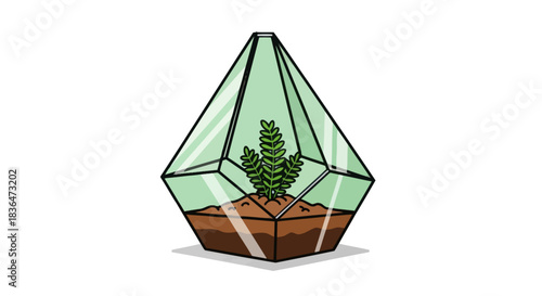 A green plant inside a geometric glass terrarium.