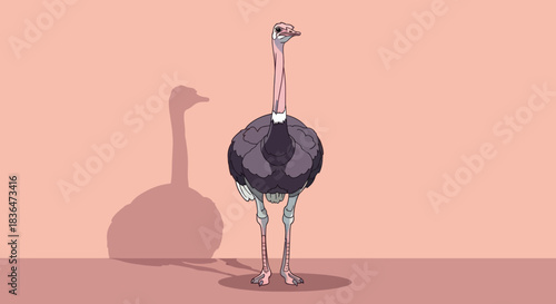Stylized common ostrich illustration standing on a plain pink background.