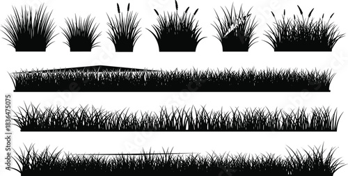Black grass silhouette collection, variety of bushes and borders, vector art design.