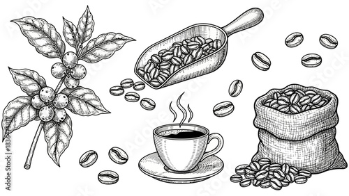  Line Art Coffee Tools, Cups, Beans, Barista Equipment Vector Collection`