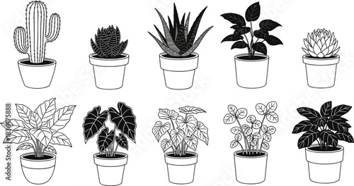 Black and White Potted Houseplants Vector Collection Featuring Cactus, Succulents, and Various Indoor Foliage for Home Decor, Botanical, and Gardening Concepts