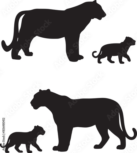 Silhouette of a majestic panther with cub on a white background