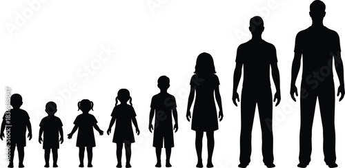 Human growth stages silhouette set, illustrating development from childhood to adult men and women, representing age, progress, and life cycle vector.