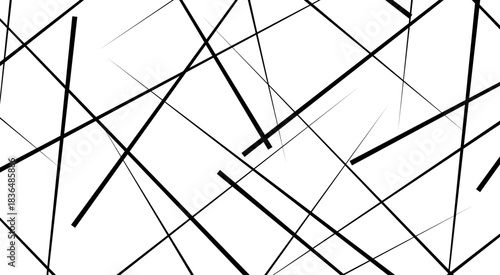 Abstract lines in black and white tone of many squares and rectangle shapes. white background. Metal grid isolated on the white background. nervures de Feuillet mores.