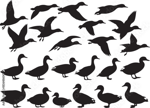 Collection of black silhouette ducks in various poses against white background