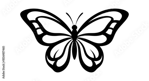 Black and white butterfly illustration on white background design element