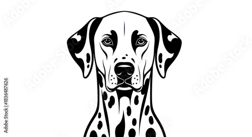 Black and white dalmatian dog portrait illustration against white background