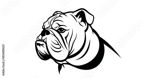 Bold bulldog head vector illustration isolated on white background