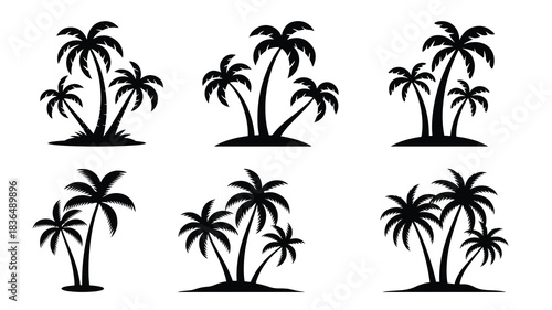 tropical coconut, palm tree silhouette