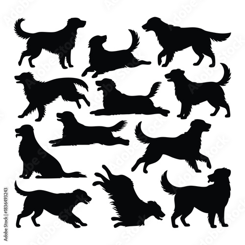 Dog Silhouettes Vector Set (Golden Retriever), Golden Retriever, vector, illustration.