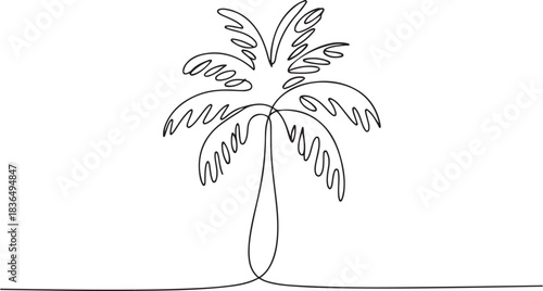 Minimal palm tree one line art design isolated vector in simple and elegant line drawing style. one line Icon drawing