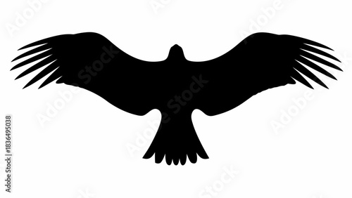 Silhouette of a bird with outstretched wings, viewed from above, showcasing feather details and form mjunaid