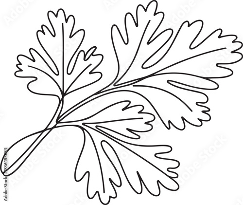 Continuous one line drawing healthy freshness organic raw coriander leaf for farm logo identity. Fresh Chinese parsley concept for vegetable icon. one line Icon drawing