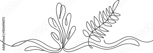 abstract marine, river algae, fern. continuous one line art hand drawing sketch, logo. one line Icon drawing