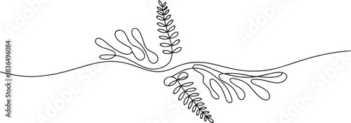 abstract marine, river algae, fern. continuous one line art hand drawing sketch, logo. one line Icon drawing