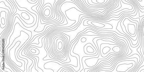 Topographic Background. Abstract wavy and curved lines background. Abstract pattern with Lines. Background of the Topographic Map. Abstract geometric topographic contour map background Free Vector	
