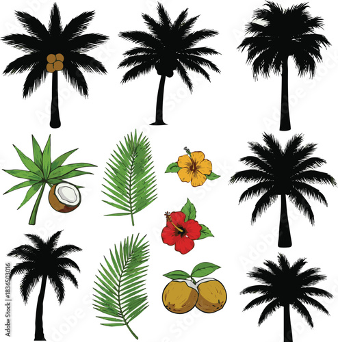  Create a Palm trees silhouette clipart set. Coconut tropical tree drawing clip art icon in color hand drawn elements collection vector illustration