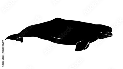 Black whale silhouette isolated on white background