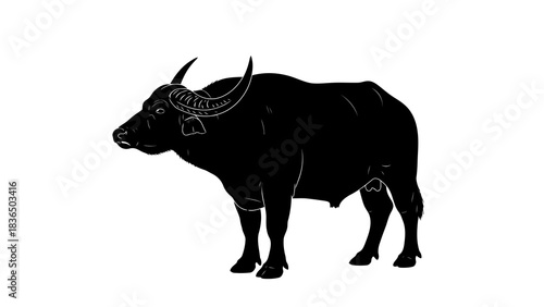 Single black buffalo silhouette, isolated on white background