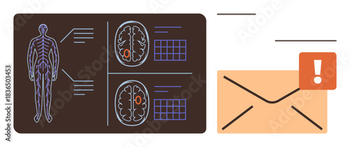 Human anatomy diagram and brain scan visuals with a highlighted alert notification beside an envelope. Ideal for healthcare, diagnostics, neuroscience, communication, urgency, notifications, medical