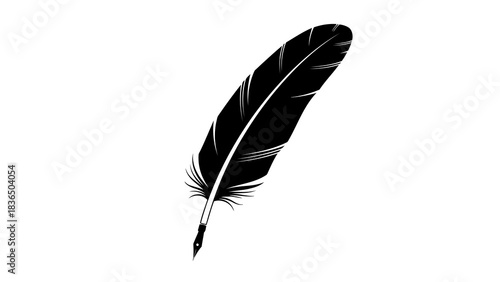 Single black feather silhouette, isolated on white background