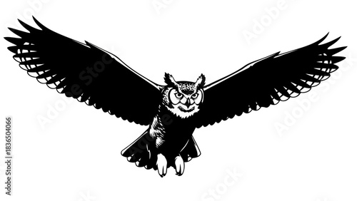 Single owl silhouette, isolated on white background with sharp studio lighting