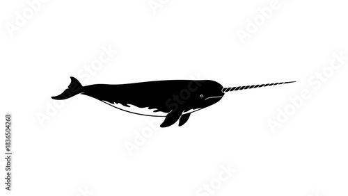 Black narwhal silhouette isolated on white background