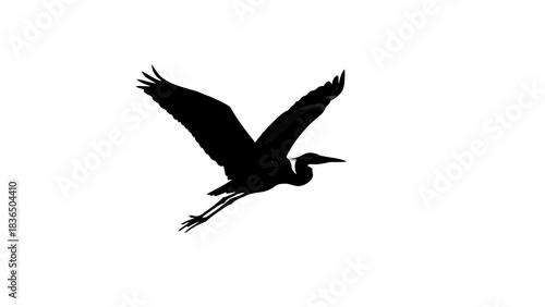 Single black bird silhouette flying isolated on white background