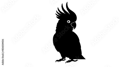 Black cockatoo silhouette isolated on white background