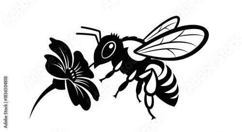Black and white illustration of a bee and a flower on white background