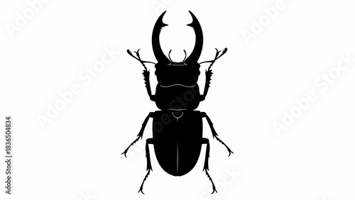 Single black beetle silhouette, isolated on white background