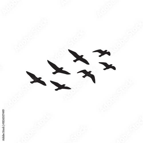 Flock of Birds Silhouette