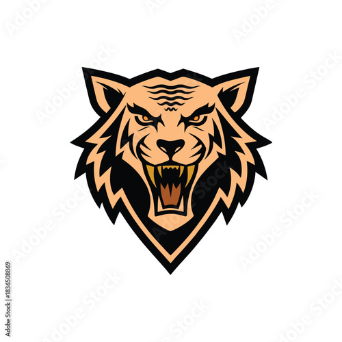 Vector illustration of an angry tiger head face with open mouth and teeth