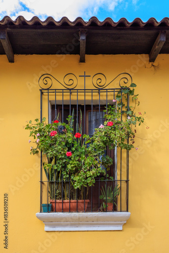 Colorful flowers and green plants flourish in a charming window box on a bright yellow wall in a quaint village