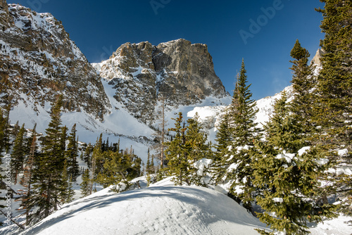 Green Pine Trees Stand On Snow Covered Hills Below Hallett Peak In Rocky Mountain