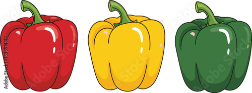 Red yellow and green bell pepper illustration isolated on white background representing fresh vegetables, healthy food, nutrition, and farming concept