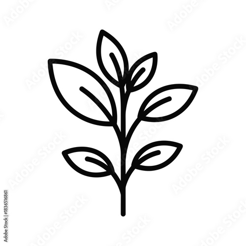 Plant with Leaves Outline Icon