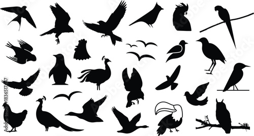 Diverse bird silhouettes collection for design and illustration