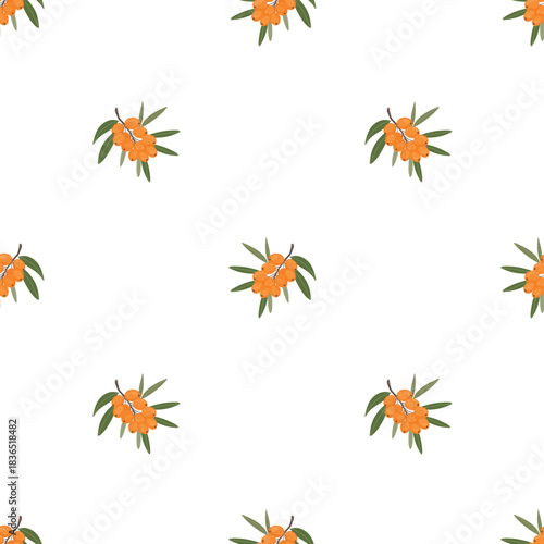 Buckthorn berry seamless pattern, botanical sprigs. Sea buckthorn repeat pattern, orange berry background. Buckthorn branch pattern, natural ingredient tile