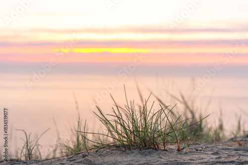 Fototapeta Naklejka Na Ścianę i Meble -  Golden sunset behind Rügen dunes on the Baltic coast forming a peaceful panoramic seascape with gentle clouds and pure untouched nature