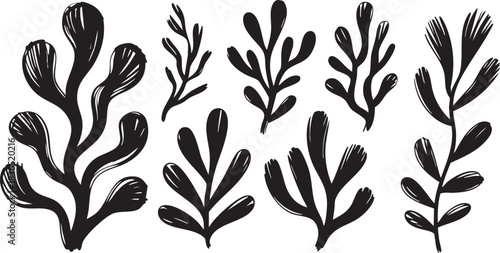 Coral reef or seaweeds vector underwater plant icons. Naive style leaves, algae or fronds. Hand drawn vector ink illustration. Modern style organic corals, aesthetic underwater plants and branches