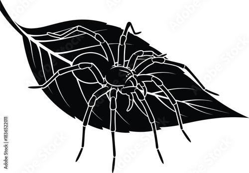 Spider on a leaf, modern minimalist nature vector art