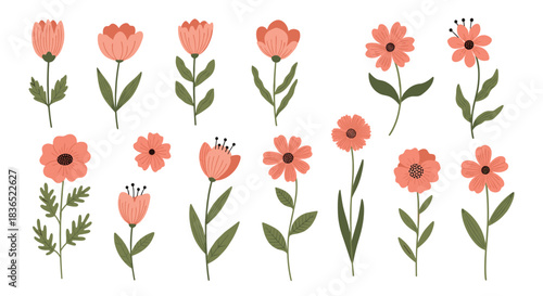 Beautiful collection of hand-drawn flowers in shades of pink and coral with green stems and leaves, perfect for creating custom botanical arrangements.